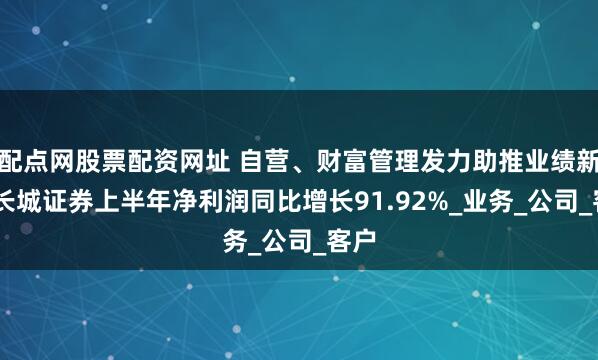 配点网股票配资网址 自营、财富管理发力助推业绩新高 长城证券上半年净利润同比增长91.92%_业务_公司_客户