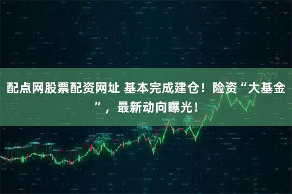 配点网股票配资网址 基本完成建仓！险资“大基金”，最新动向曝光！