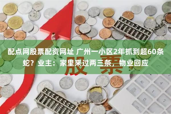 配点网股票配资网址 广州一小区2年抓到超60条蛇?业主:家里来过两三条,物业回应