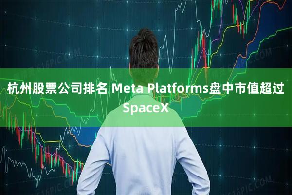 杭州股票公司排名 Meta Platforms盘中市值超过SpaceX